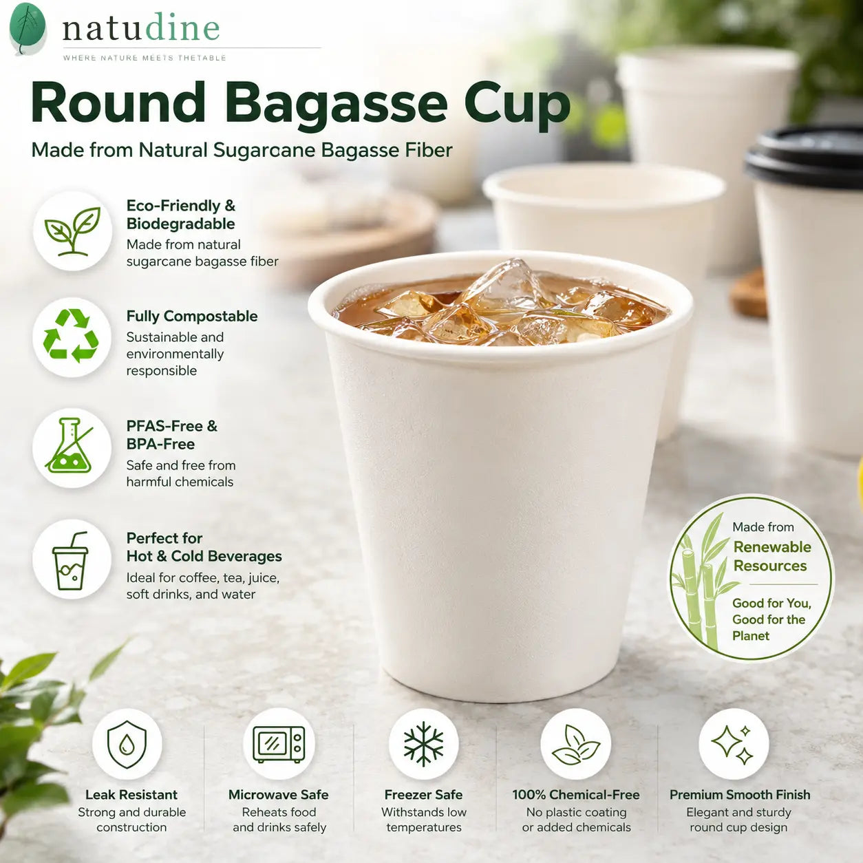 Milieuvriendelijke 8 oz Ronde Bagasse Beker - 250 ml