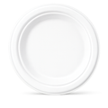 Milieuvriendelijk Bagasse Rond Bord - 25 cm