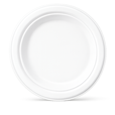 Milieuvriendelijk Bagasse Rond Bord - 25 cm