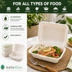 Eco Friendly 1-Compartment Rectangular Bagasse Clamshell Container – 23 × 15.3 × 8 cm