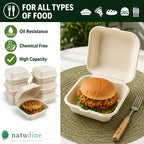 Milieuvriendelijke Vierkante Bagasse Clamshell Bak met 1 Vak – 15 × 15 × 7 cm
