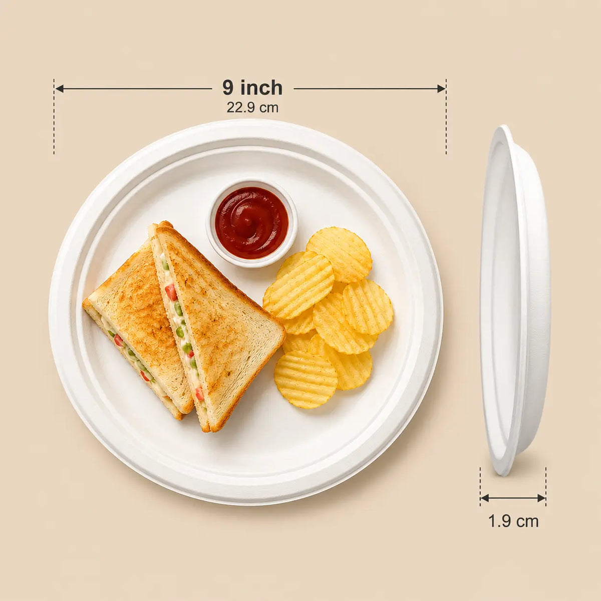Milieuvriendelijk Bagasse Rond Bord - 23 cm