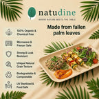 Organic Palm Leaf Rectangular Plate - 11 x 15 x 2.5 cm