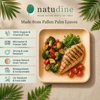 Organic Palm Square Plate - 20 cm